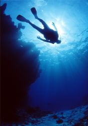 Taken at Samadai/Dolphin House reef, Red Sea. Natural lig... by Pål Oliver Kristiansen 